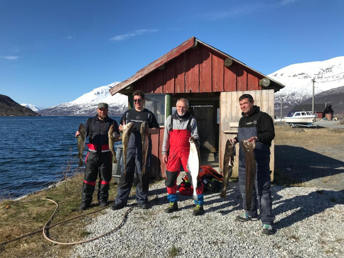 Manndalen Sjobuer Villa Samuelsberg Buitenkant foto