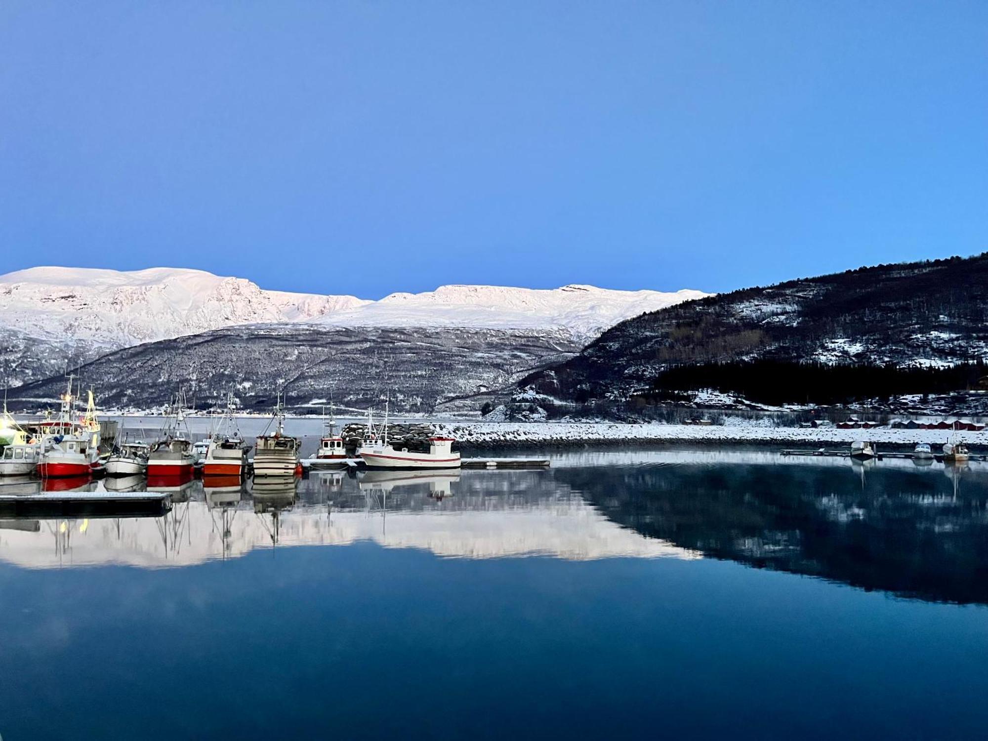 Manndalen Sjobuer Villa Samuelsberg Buitenkant foto