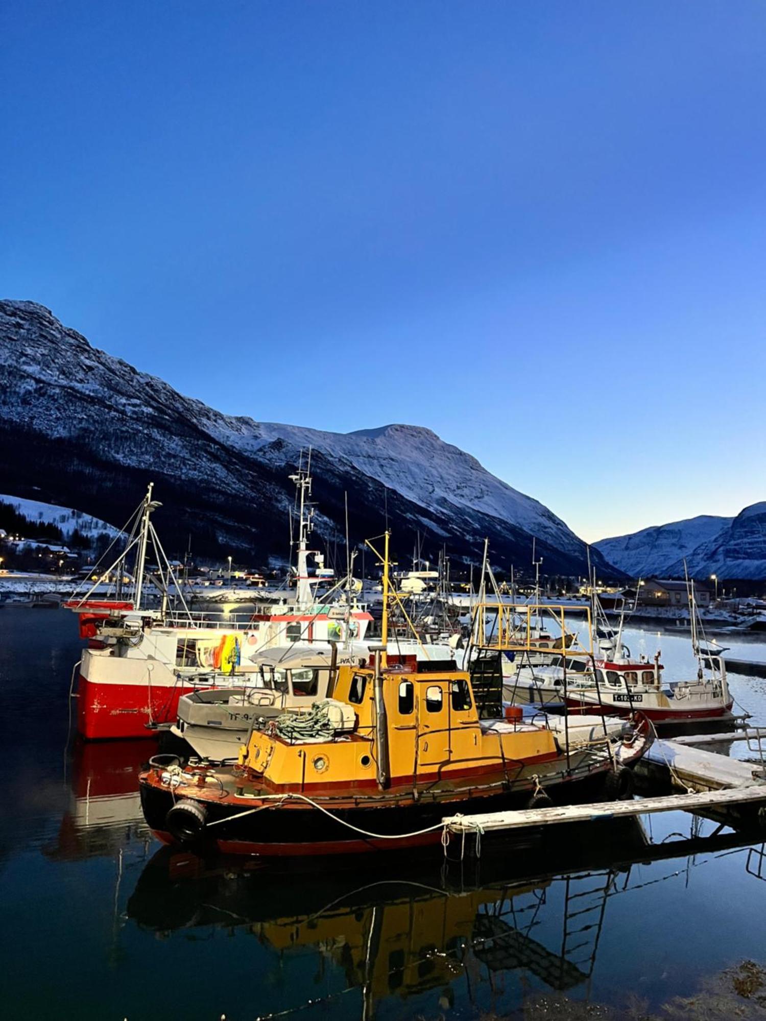 Manndalen Sjobuer Villa Samuelsberg Buitenkant foto